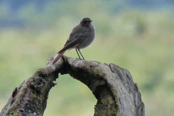 chaletforyou-img-46 chaletforyou-img-46