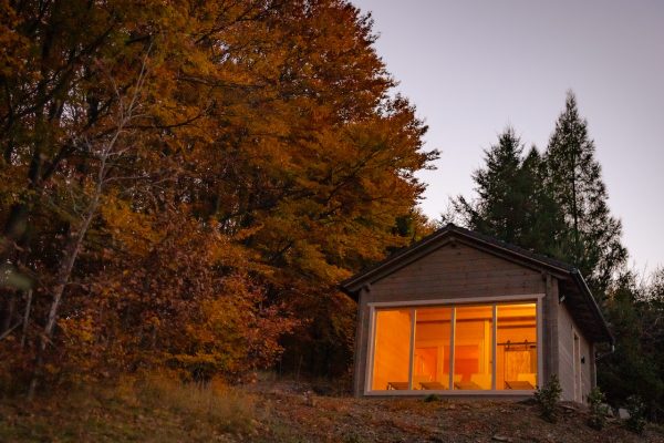 répáshuta2-8765 jav