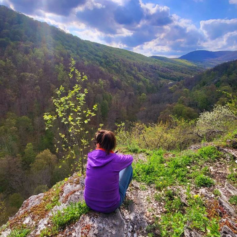 A bükki Sólyom-kő kilátásában gyönyörködünk
