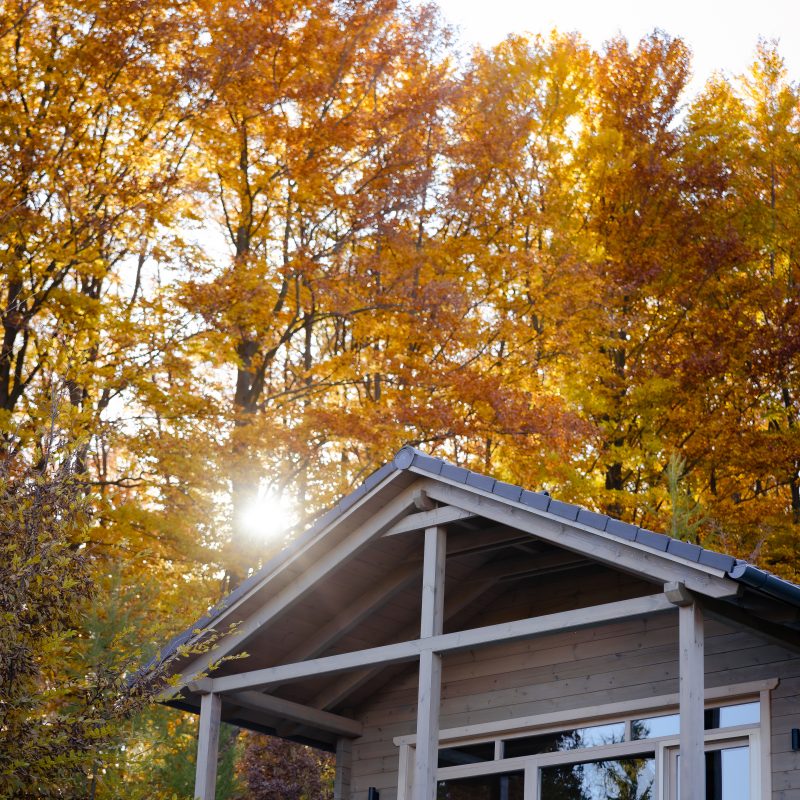 A Chalet faház festői őszi erdő háttérrel